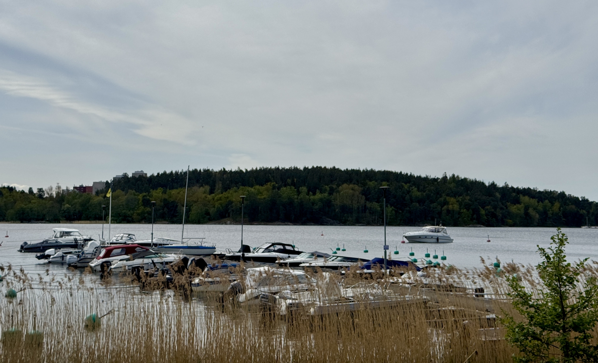 https://www.stocksundsbk.se//explorer/images/IMG_9138(2).jpeg